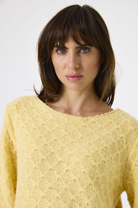 PULL MON PETIT POUSSIN