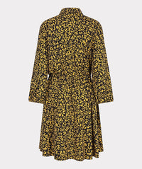 ROBE LONGUE ÉVOLUTION PHONÉTIQUE