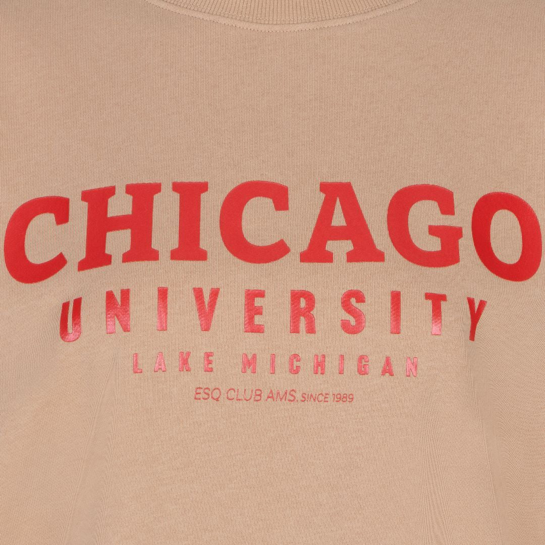 CHANDAIL CHICAGO UNIVERSITY