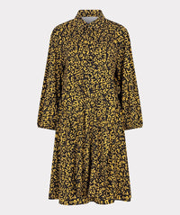 ROBE LONGUE ÉVOLUTION PHONÉTIQUE