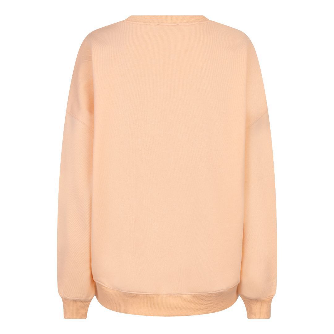 CHANDAIL CHICAGO UNIVERSITY