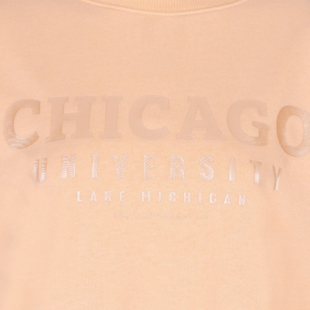 CHANDAIL CHICAGO UNIVERSITY